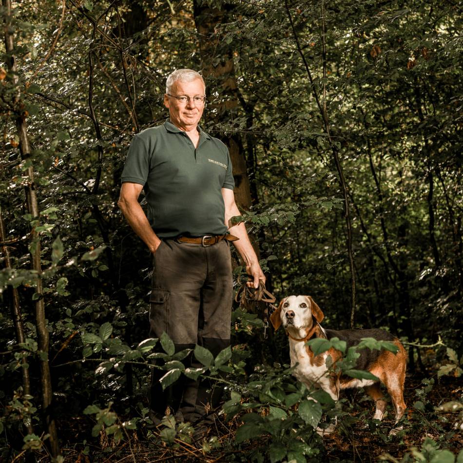 „Zittern wie Espenlaub“: Baum des Jahres im Dormagener Tannenbusch gepflanzt