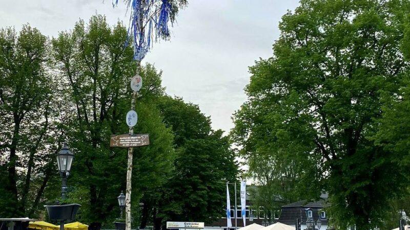 Auf dem Franziskanerplatz: Erkelenzer Funkengarde stellt zum 39. Mal ihren Maibaum auf