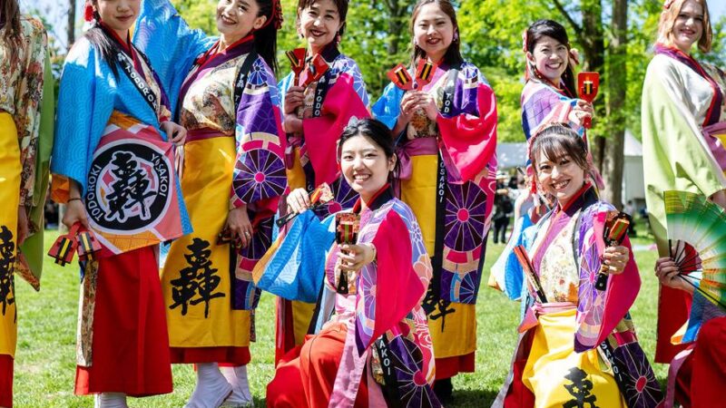 Im Meerbad-Park in Meerbusch: Beim Kirschblütenfest die japanische Kultur erleben
