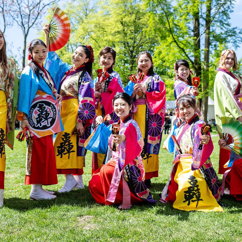 Im Meerbad-Park in Meerbusch: Beim Kirschblütenfest die japanische Kultur erleben