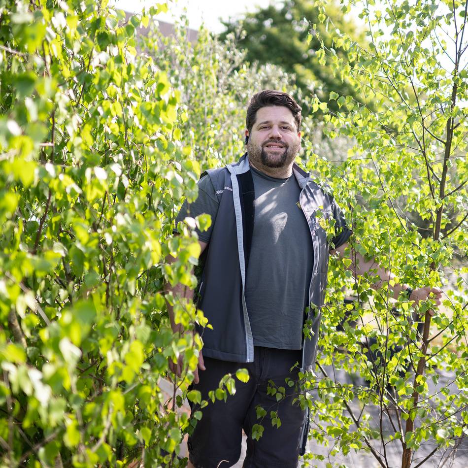 Tradition im Rheinland: Maibäume erleben bei jungen Leuten einen Boom – hier gibt es sie in Düsseldorf