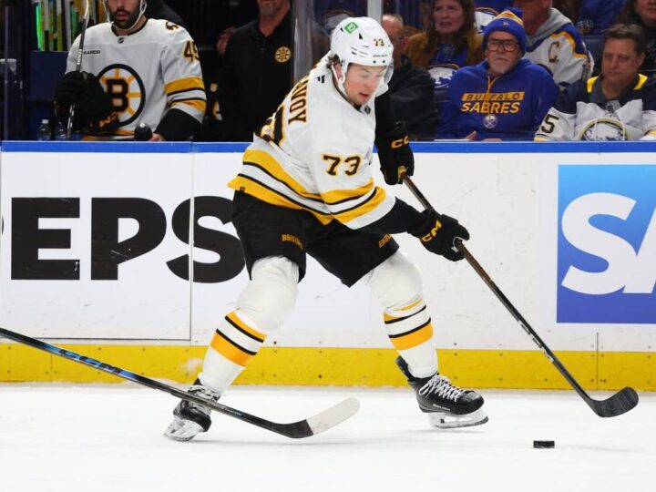 Eishockey: NHL: Sturm und Bruins gleichen Playoff-Serie aus