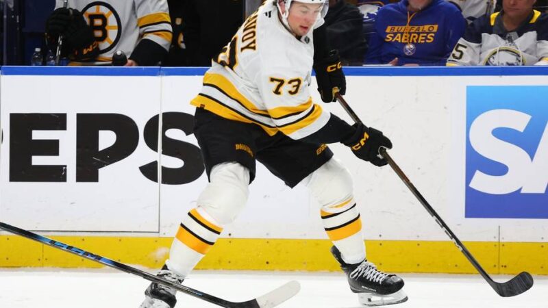 Eishockey: NHL: Sturm und Bruins gleichen Playoff-Serie aus