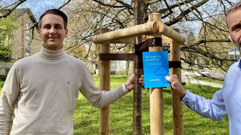 Klimaspende in Mettmann: Drei neue Bäume trotzen Hitze und Frost