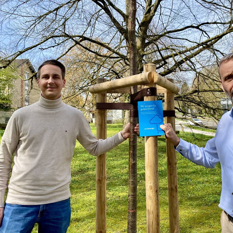 Klimaspende in Mettmann: Drei neue Bäume trotzen Hitze und Frost