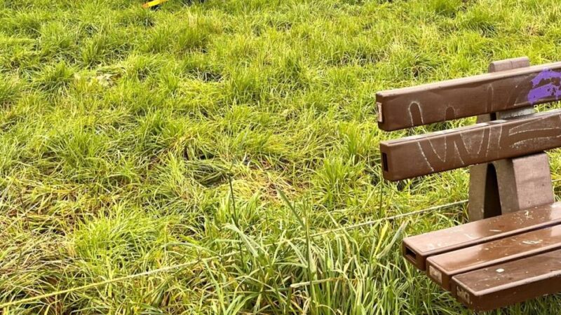 Sachbeschädigung in Düsseldorf: Vandalen werfen Regenbogenbank in Düsseldorfer Fluss