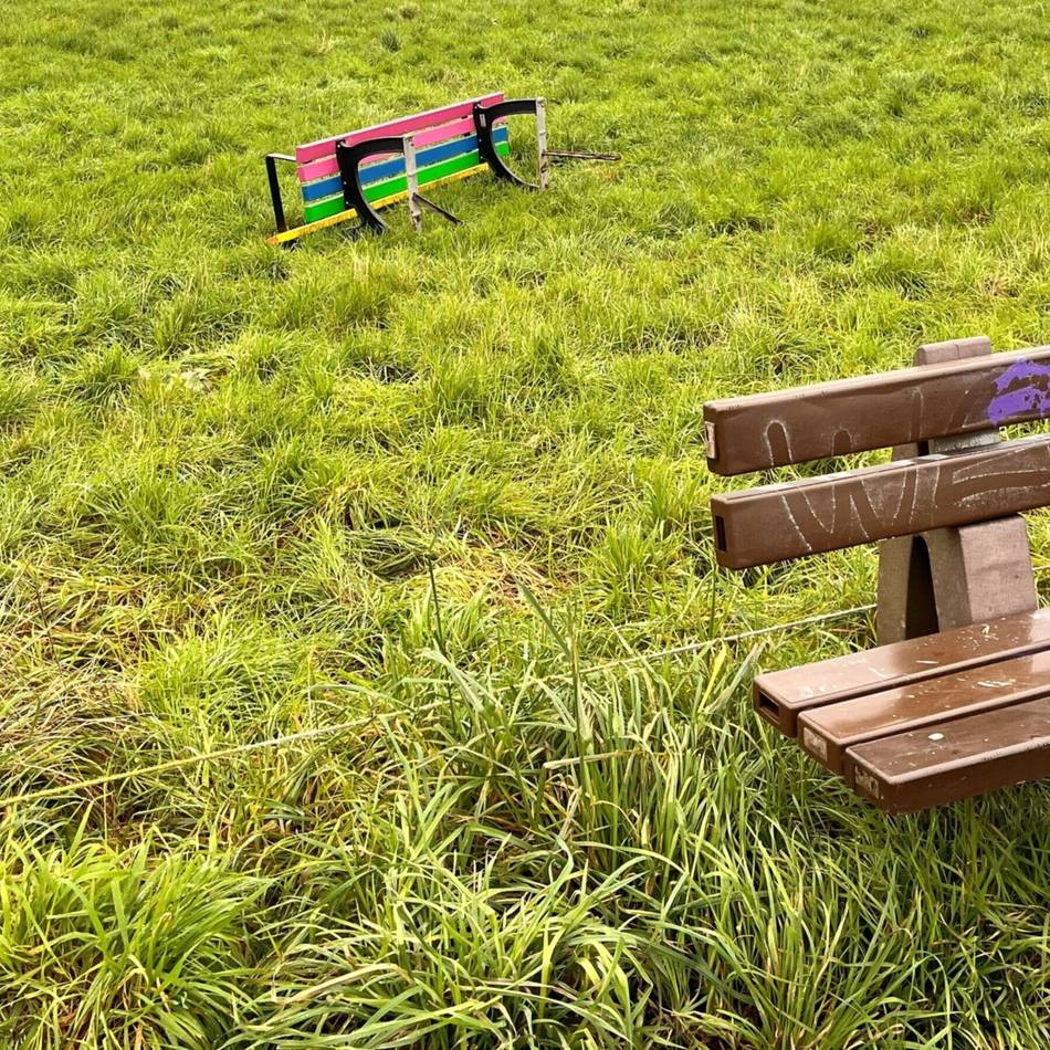Sachbeschädigung in Düsseldorf: Vandalen werfen Regenbogenbank in Düsseldorfer Fluss