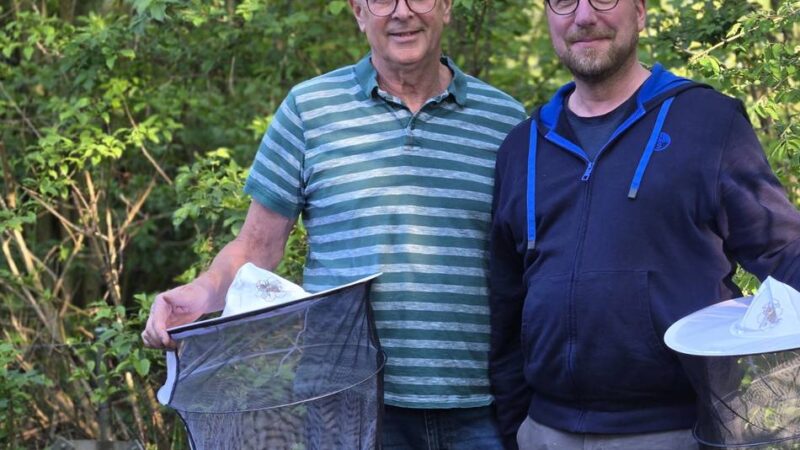 Kirschblüte weckt die Bienen: Dormagener Imker zeigen, wie ein Volk ins Frühjahr startet