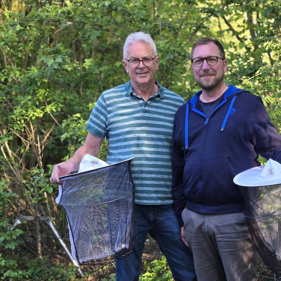 Kirschblüte weckt die Bienen: Dormagener Imker zeigen, wie ein Volk ins Frühjahr startet