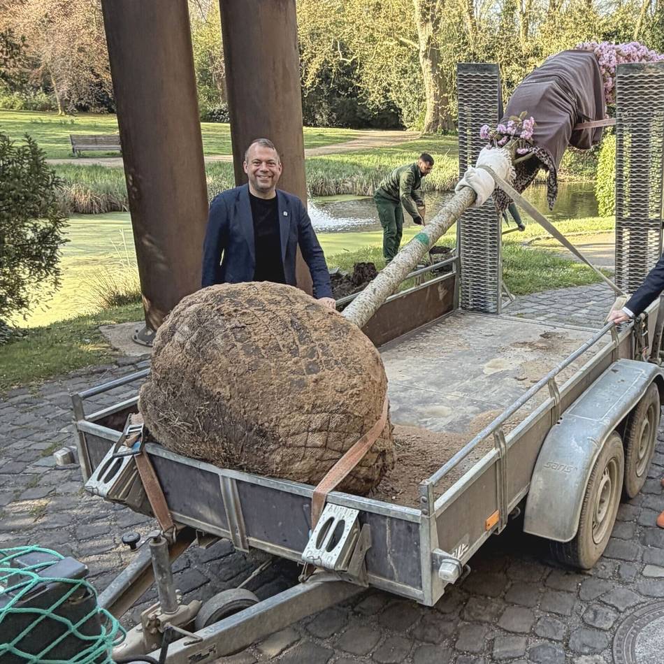 Hinter dem Schloss Neersen: Kirschbaum-Duo ist wieder komplett