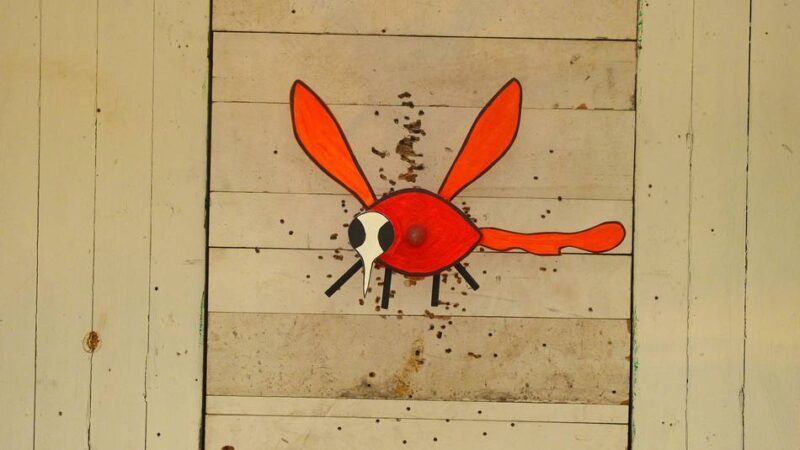 St.-Petrus-Schützen laden ein: Wetten rüstet sich für das große Schießen im Ort