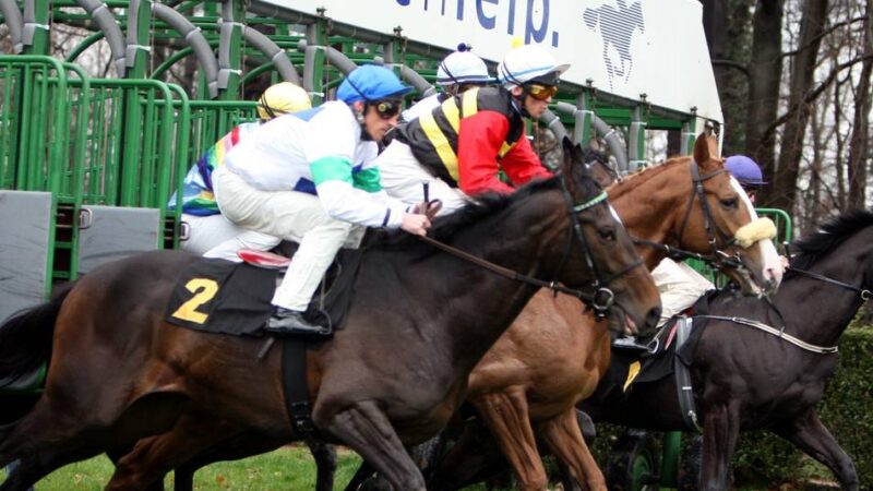 Verlosung: Karten fürs Galopprennen