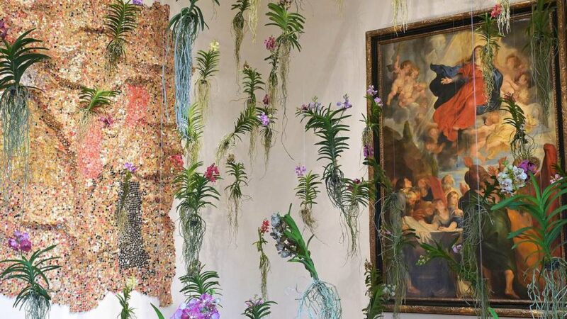 „Palastblühen“ in Düsseldorf: Wo Kunst zur Kulisse wird