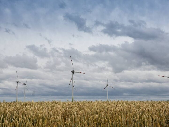 Windenergie in Holzheim: Trotz Ablehnung – Neuss kämpft um Windpark Hombroich
