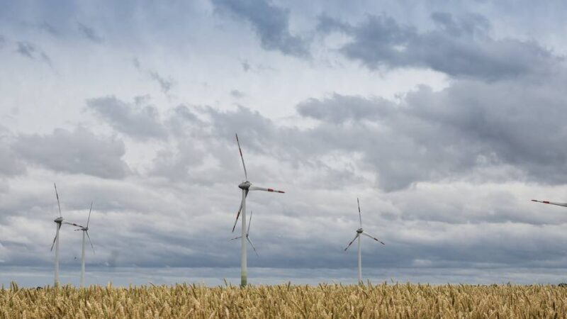 Windenergie in Holzheim: Trotz Ablehnung – Neuss kämpft um Windpark Hombroich