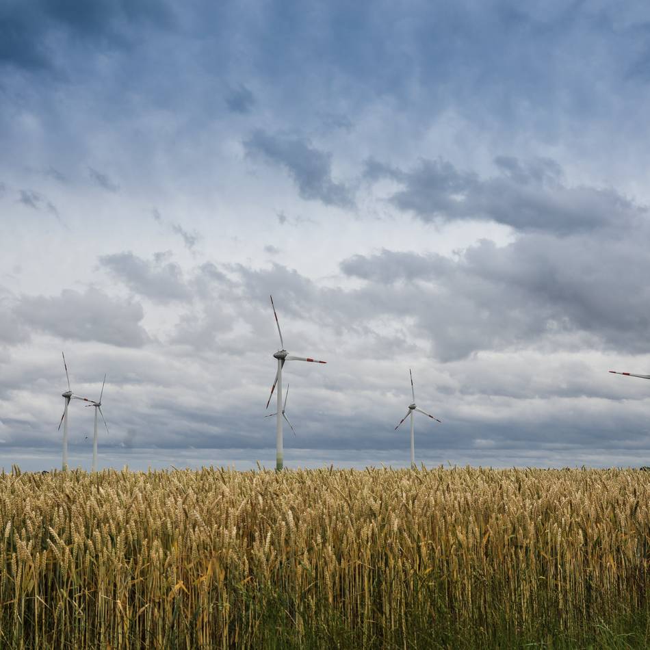 Windenergie in Holzheim: Trotz Ablehnung – Neuss kämpft um Windpark Hombroich