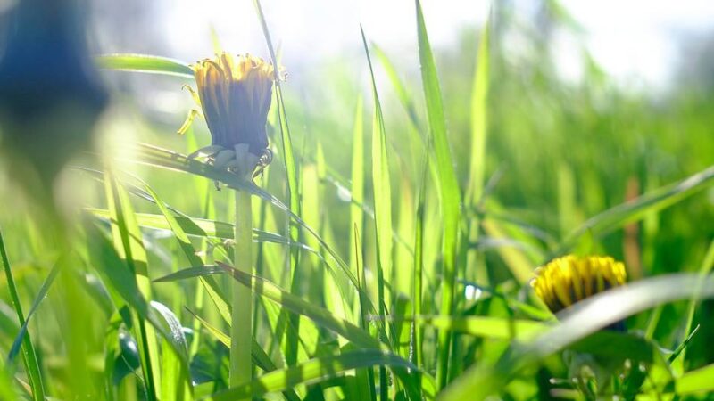 Bildgedanken: Wagnis