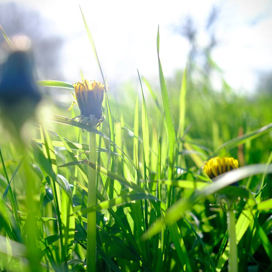 Bildgedanken: Wagnis