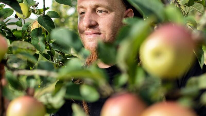 Ab August: Biologische Station bietet FÖJ an