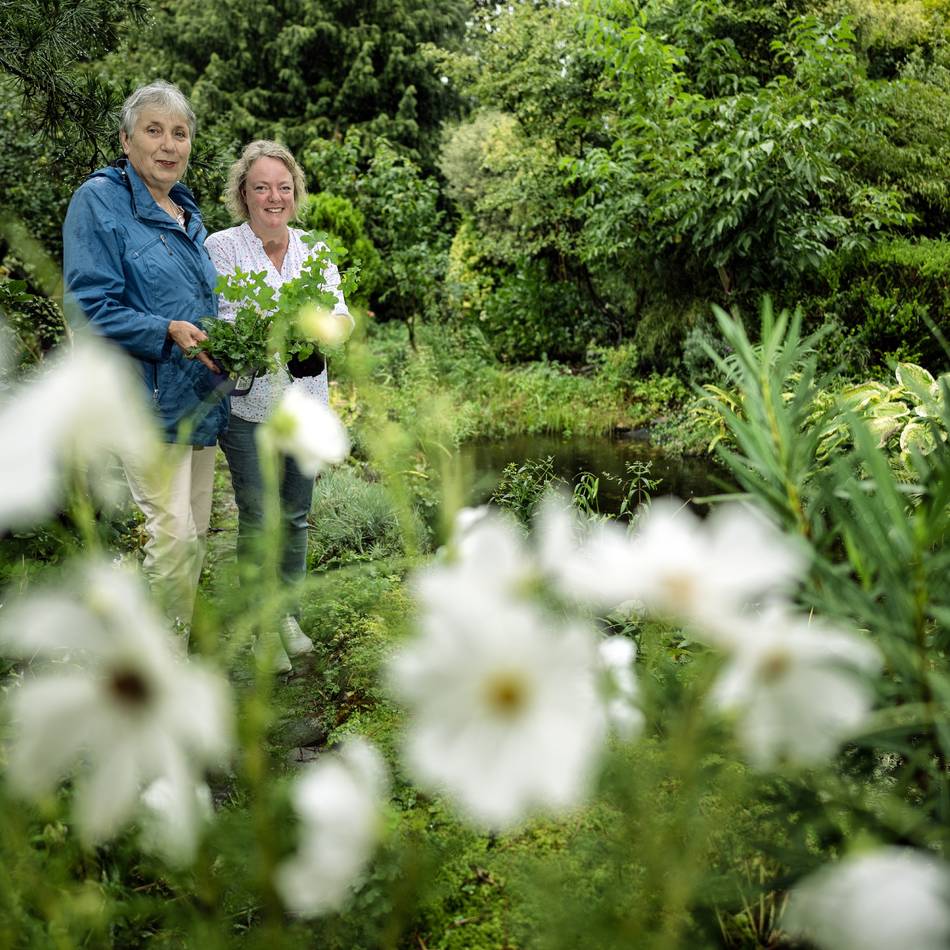 Workshop zum Stadtjubiläum: Ideen für eine artenreiche Zukunft gesucht
