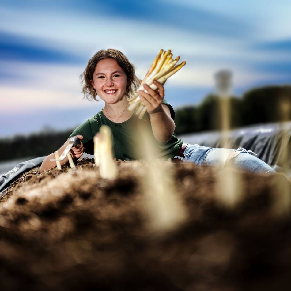 Monheim: Preise sinken zum Start der Spargelsaison