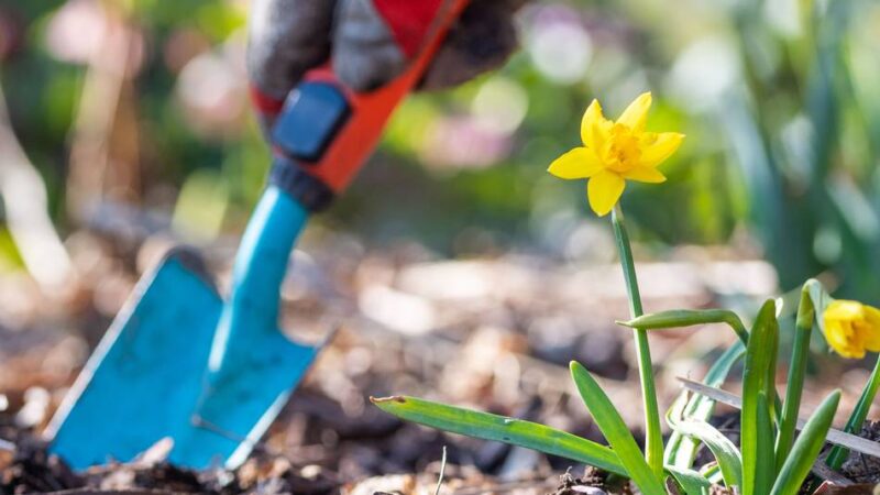 Frühling in Mönchengladbach: Bis zu 50.000 Euro Bußgeld – diese Regeln gelten im Garten