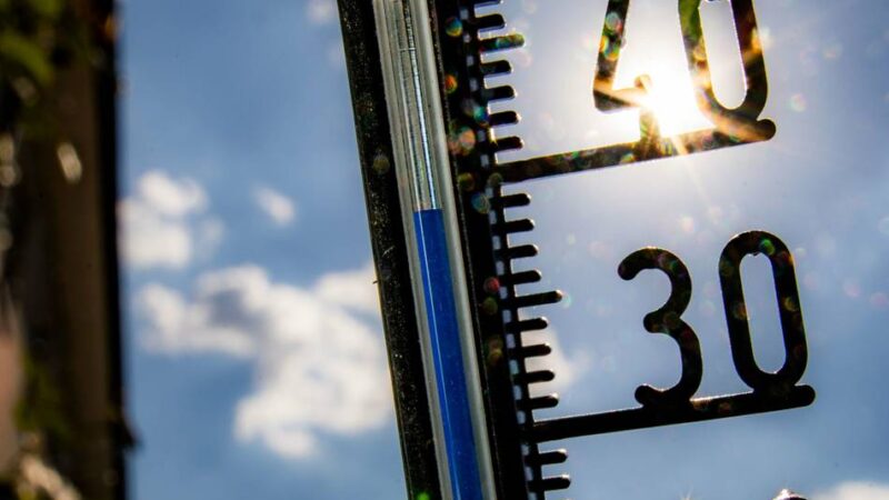 Kaarster Politik stimmt für Absage von Hitzeschutztag: „Wir haben riesige Gebäude, reden aber über Sonnenschirme“