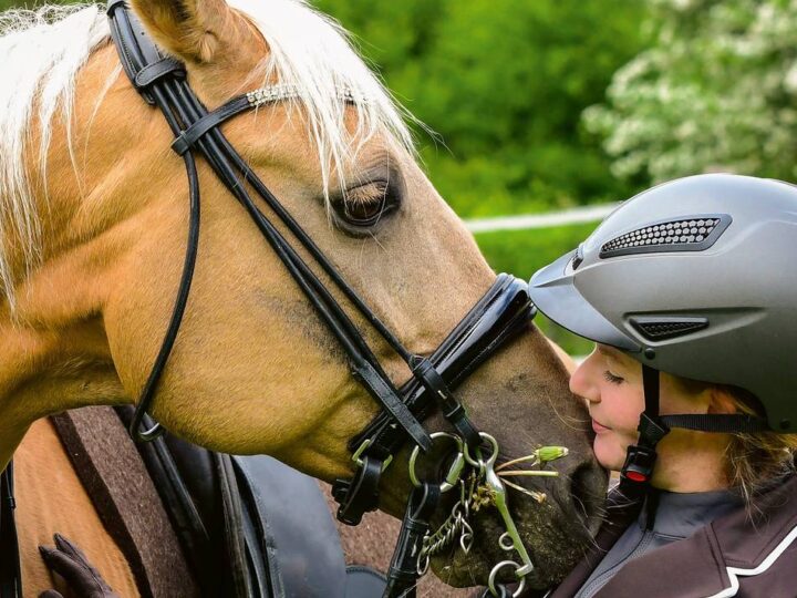 Vortrag in Sinsteden: Expertin erklärt das Geheimnis des ethologischen Reitens