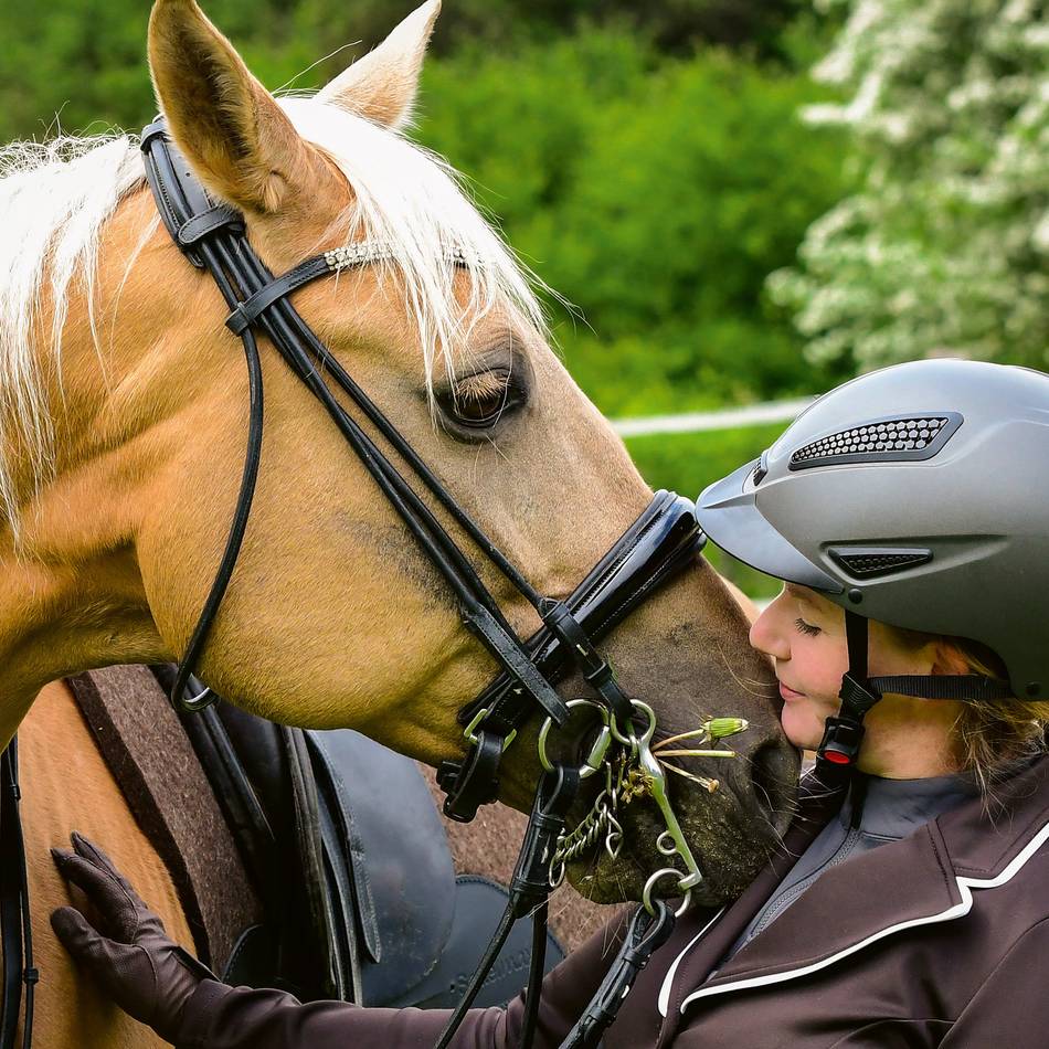 Vortrag in Sinsteden: Expertin erklärt das Geheimnis des ethologischen Reitens