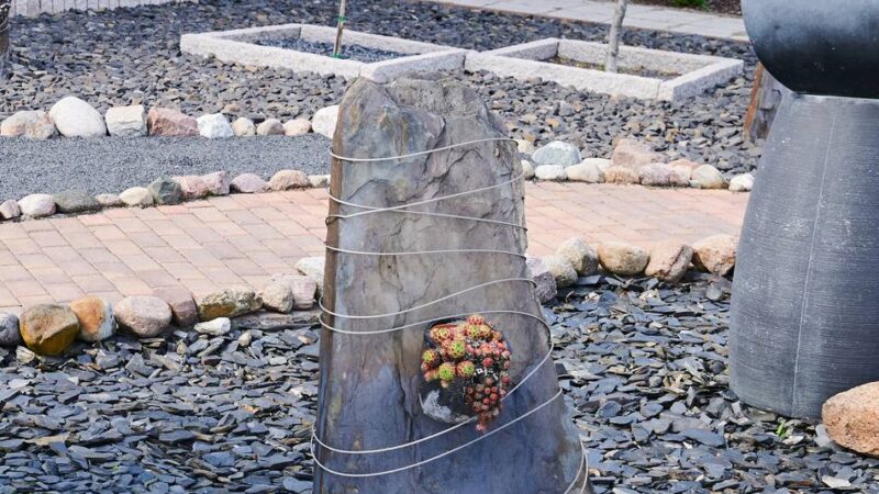 Förderung in Bedburg-Hau: 1000 Euro für grüne Oase statt Schottergarten