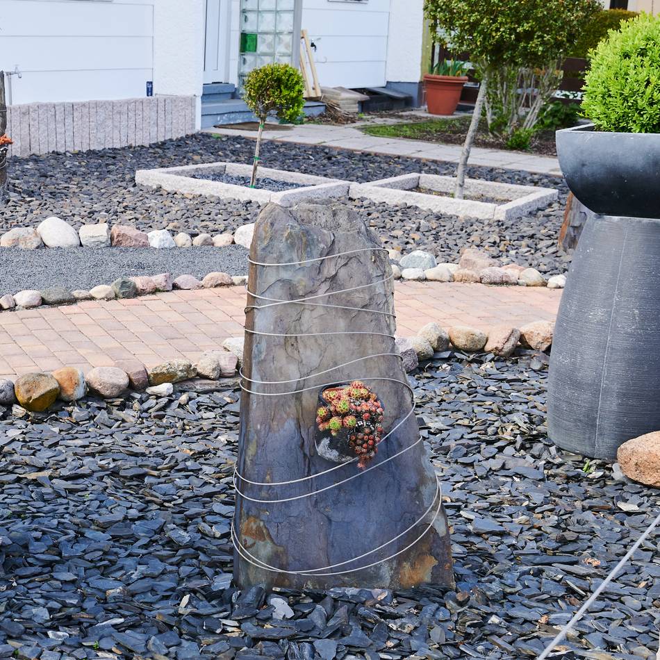 Förderung in Bedburg-Hau: 1000 Euro für grüne Oase statt Schottergarten