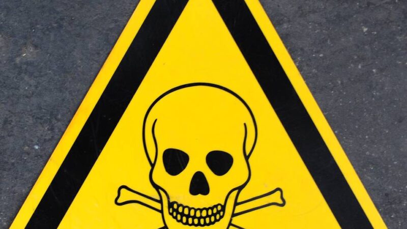 Komödie in Meerbusch: Theatergruppe zeigt „Arsen und Spitzenhäubchen“