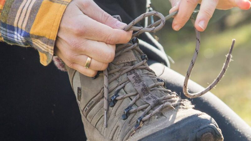 Geführte Wanderung: Zu Fuß durch die Flora und Fauna der Hinsbecker Höhen