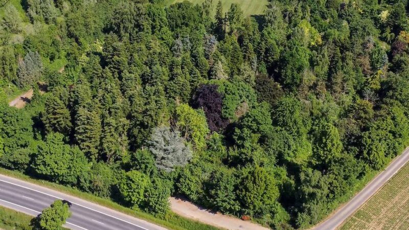 Lost Place in Erkelenz: So sieht der Lahey-Park jetzt aus