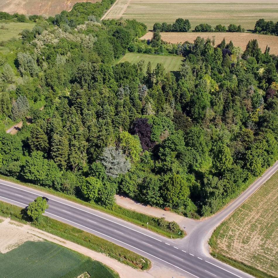 Lost Place in Erkelenz: So sieht der Lahey-Park jetzt aus