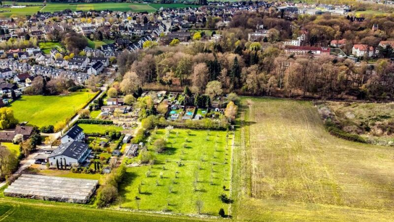 Schaffung von Wohnraum in Langenfeld: Rat gibt grünes Licht für den Bauturbo