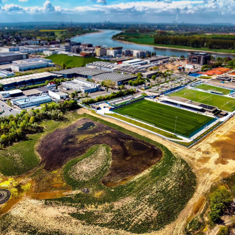 Ratsbürgerentscheid: Monheim stimmt für Olympia – Skatepark bleibt Streitpunkt