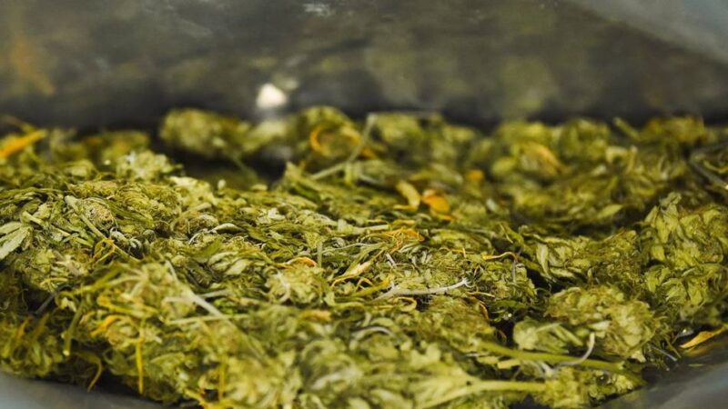 Langenfelder vor dem Landgericht: Mutter und Sohn dealten und bildeten eine Kiffer-Kommune