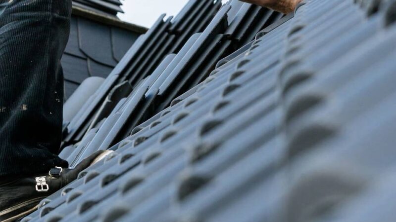 Haus & Grund Grafschaft Moers: Worauf Hauseigentümer im Frühjahr achten sollten