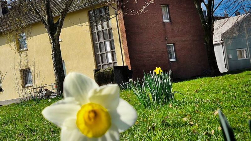 Geplante Obdachlosenunterkunft in Langenfeld: Neues Projekt soll den „Drehtüreffekt“ durchbrechen