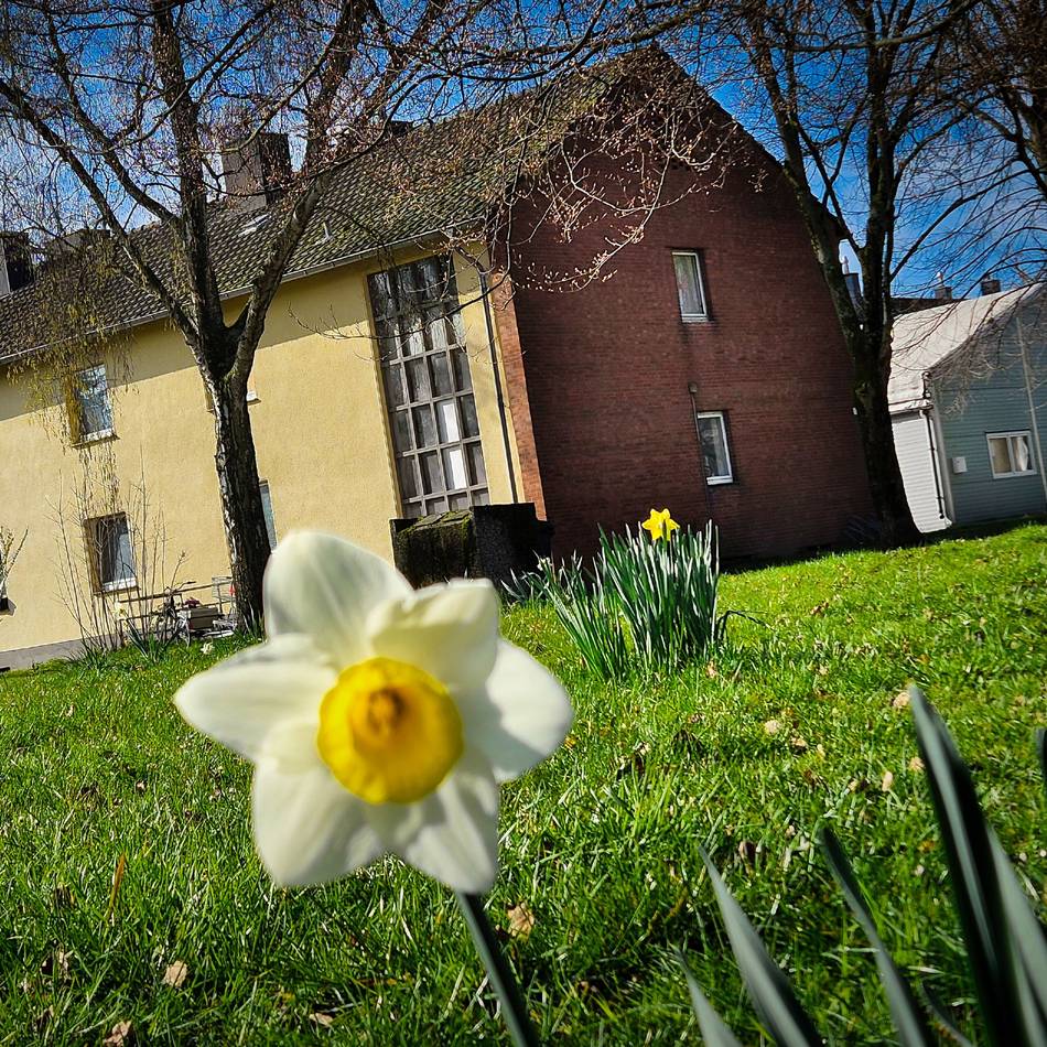Geplante Obdachlosenunterkunft in Langenfeld: Neues Projekt soll den „Drehtüreffekt“ durchbrechen