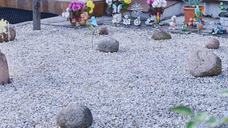 1000 Euro Förderung in Bedburg-Hau: Schottergarten-Prämie setzt richtige Anreize – aber nicht für fleißige Gärtner