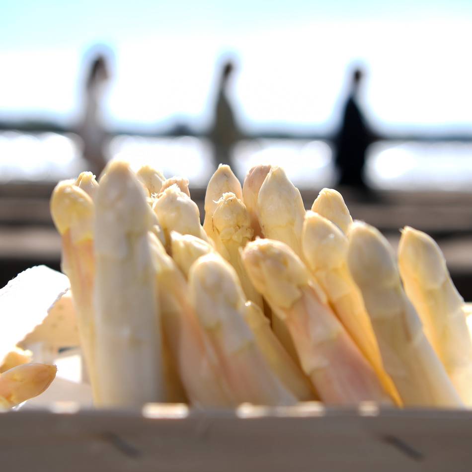 „An Ostern wird es Spargel geben“: So steht es um den Walbecker Spargel vor dem Saisonstart