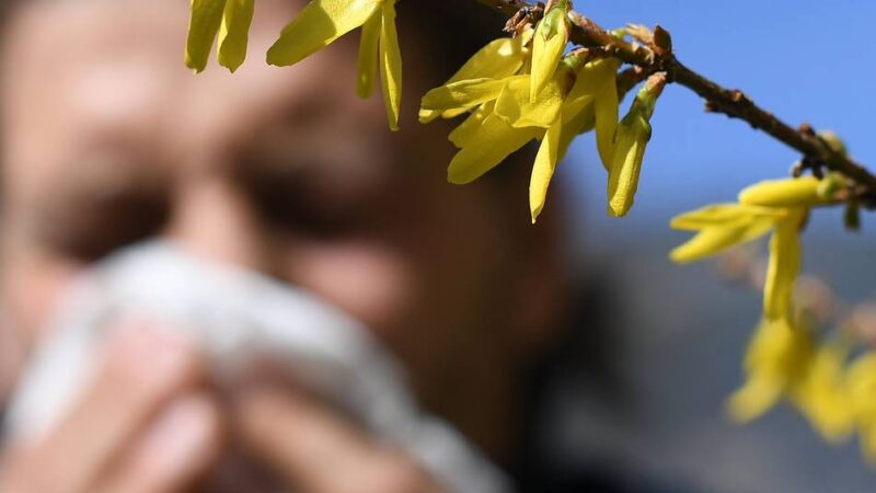 Tipps gegen Heuschnupfen: „Mit Straßenkleidung ins Bett – das sollte man unbedingt vermeiden“