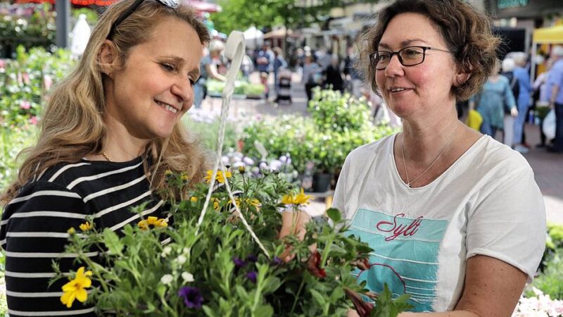 Frühling in Hilden: Weindorf, Markt und Shopping – Hilden feiert den Mai