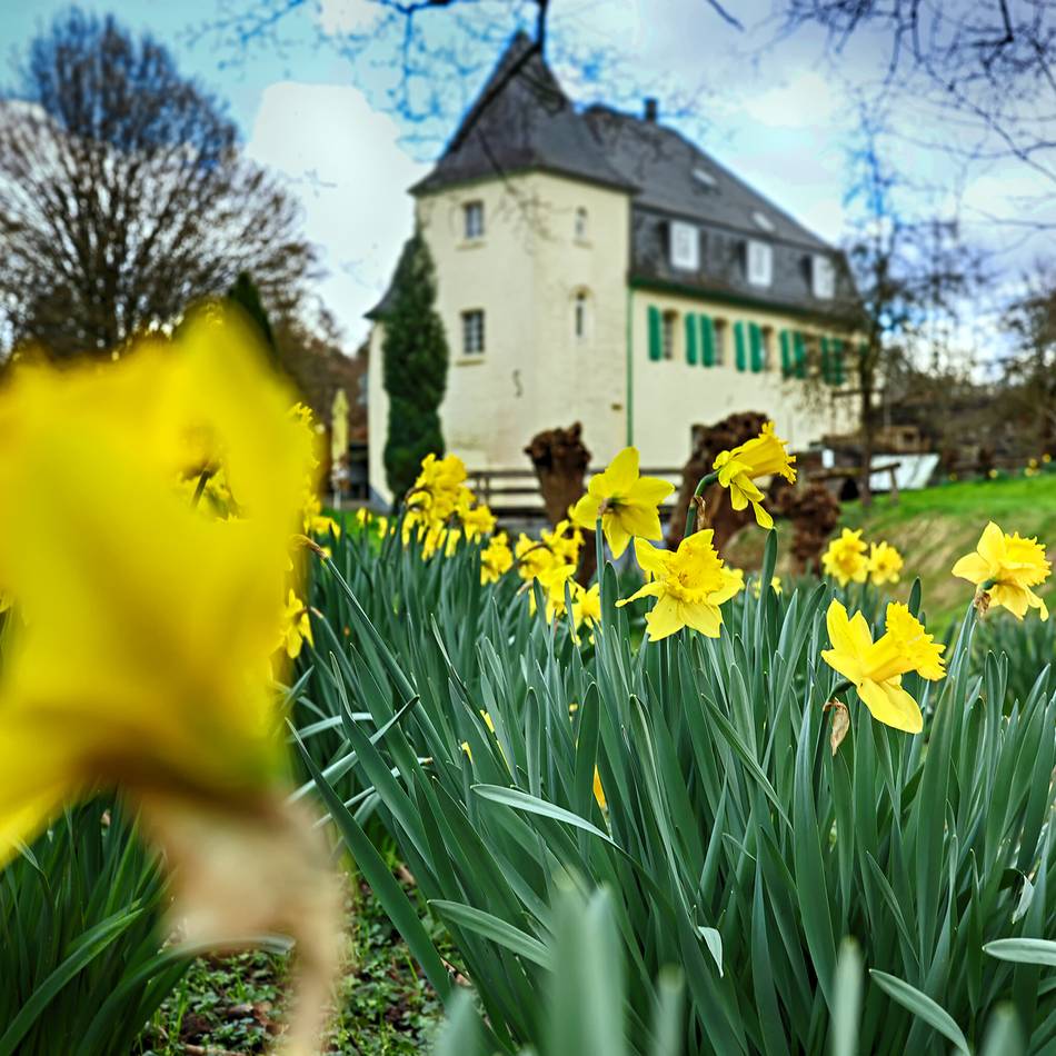 Goldberger Mühle in Mettmann: 576 Jahre altes Kleinod öffnet zum Mühlenfest