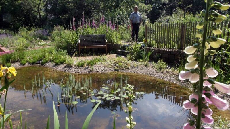 BUND-Gartenwettbewerb in Wermelskirchen: Ein Wettbewerb feiert die kleinen Wildnisse vor der Haustür