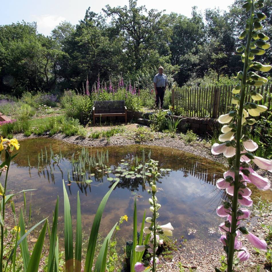 BUND-Gartenwettbewerb in Wermelskirchen: Ein Wettbewerb feiert die kleinen Wildnisse vor der Haustür