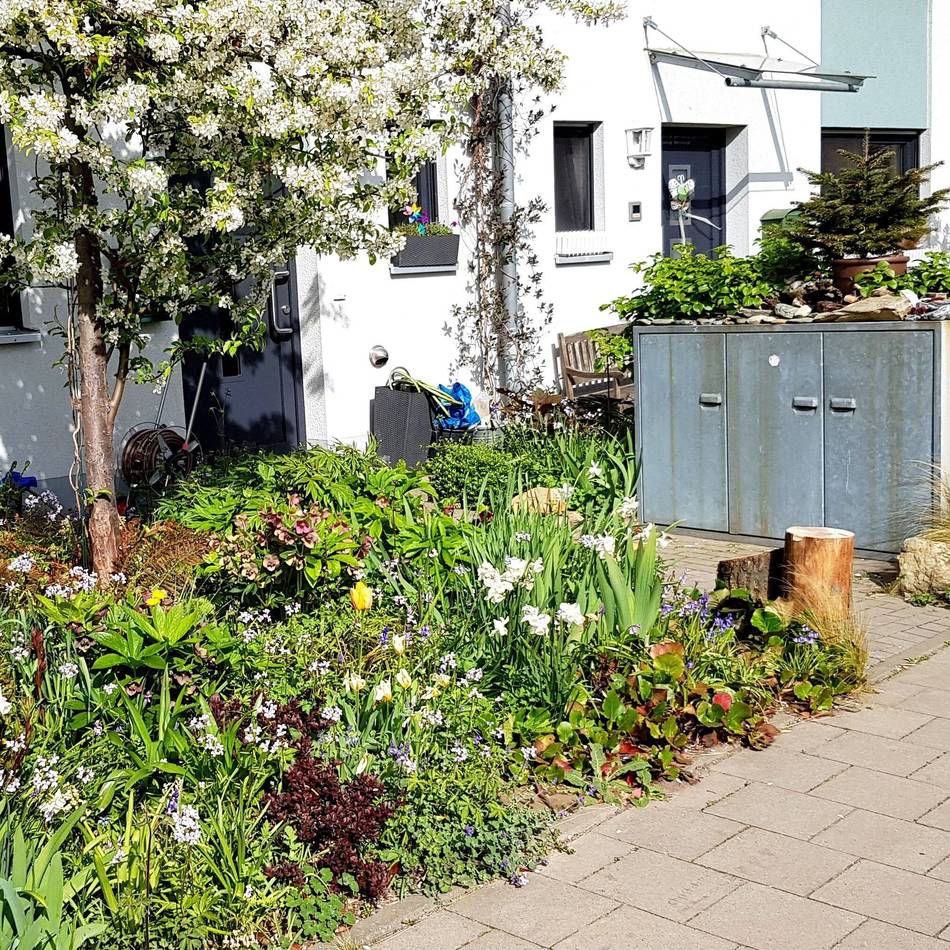 Veranstaltung am 21. April: Anmelden für Klimaspaziergang in Geldern