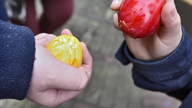 Ostersonntag in Krefeld 2026: Uerdinger Heimatbund lädt zum „Eierkeppen“ ein